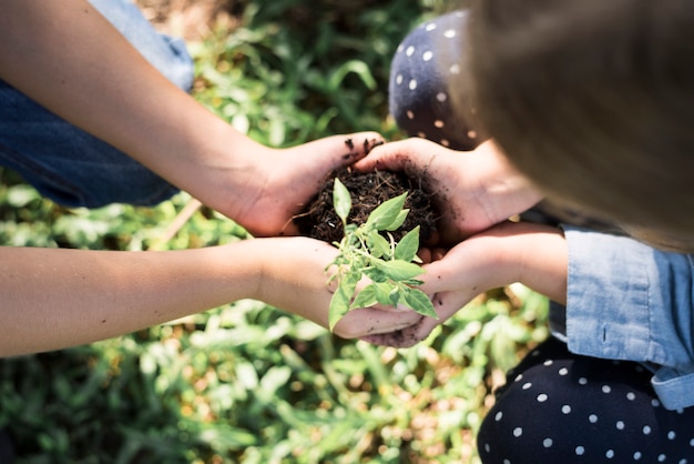 Foto famiglia che pianta un nuovo albero per il futuro