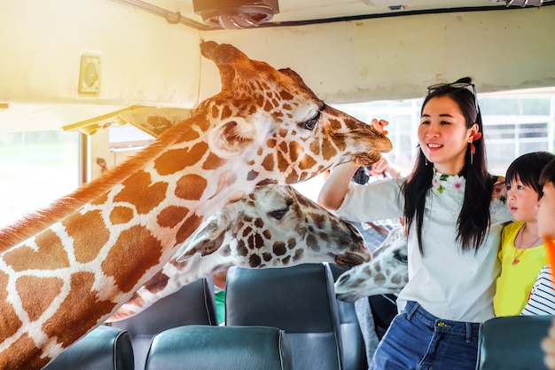 キリンのために食べ物を食べる家族旅行者。