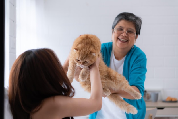 Family vacation mother daughter and Persian cat relaxing on weekends in the bedroom of house