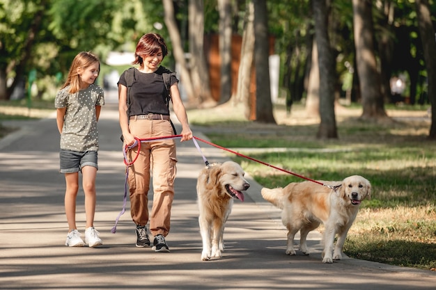 写真 公園でゴールデンレトリバーの犬と一緒に歩いている家族。母、娘、夏の屋外で2匹の犬のペット