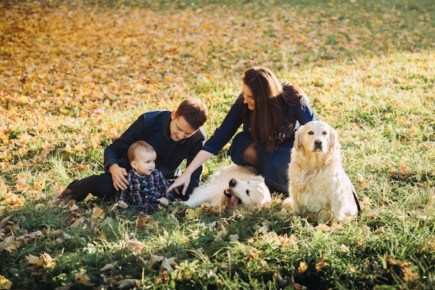 사진 가을 공원에서 아이와 두 골든 리트리버와 가족