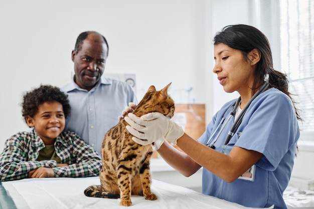 Family with bengal cat in vet clinic