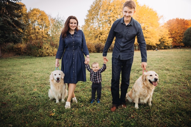 Family with a child and two golden retrievers in an autumn park