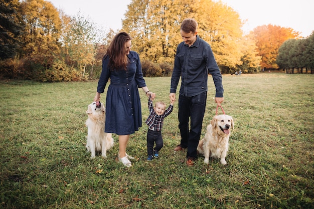 Family with a child and two golden retrievers in an autumn park