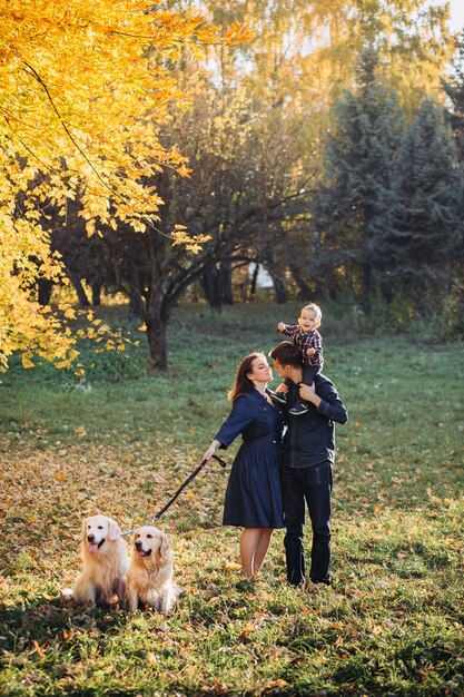 Family with a child and two golden retrievers in an autumn park