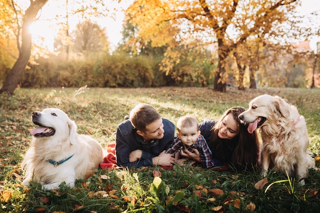 秋の公園で子供と2つのゴールデンレトリーバーと家族