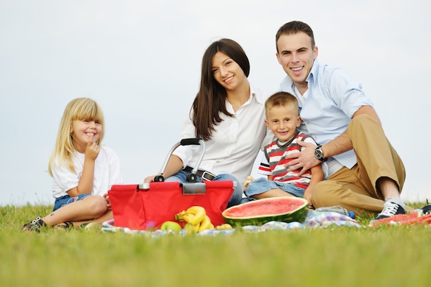 Family with children having picnic time on green meadow in nature