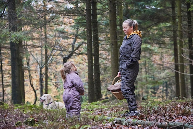 A family with a dog walks in the forest in denmark