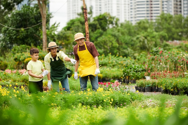 Family Working at Plant Nursery