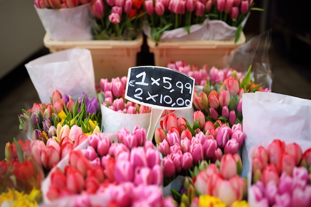 The famous Amsterdam flower market (Bloemenmarkt)