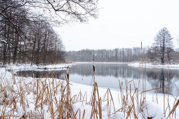 カルスト起源の有名な青い湖。青い湖は冬に凍らず、地下水を食べます。水と泥の湖はさまざまな病気から癒されています。ロシアの湖、カザン。冬の風景。