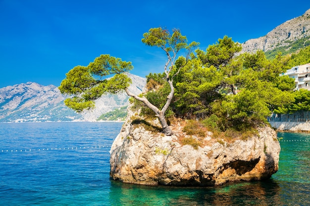 Punta Rata 해변, Makarska Riviera, Croatia 근처의 유명한 Brela Rock