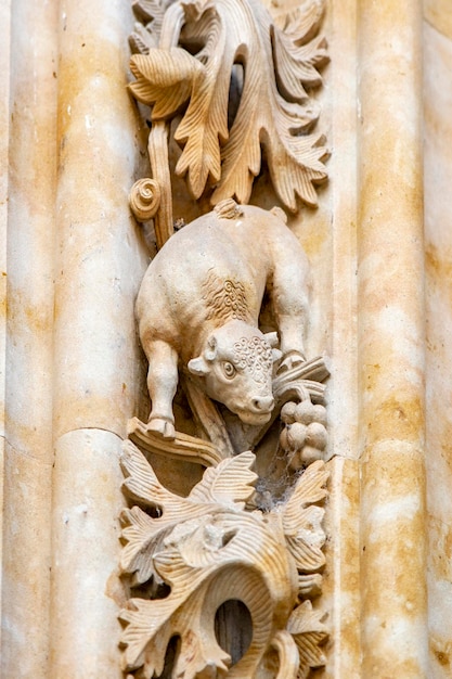 The famous bull carved in stone on the Salamanca Cathedral facade