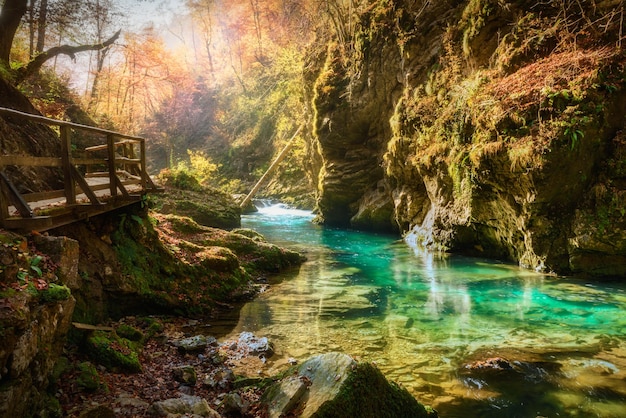 Famous canyon of Vintgar Gorge