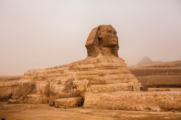 Famous egyptian sphinx