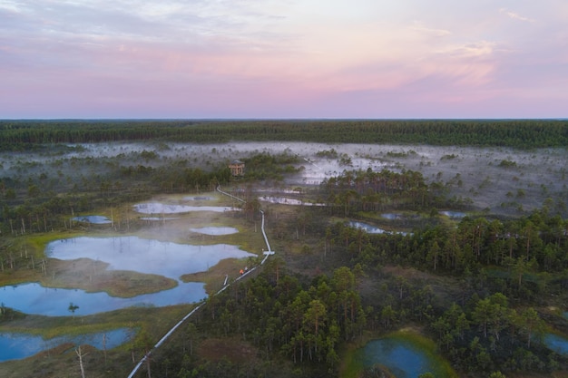 The famous Estonian Viru swamp at the dawn of the sun in summer photo from a drone