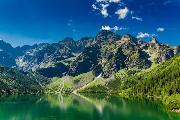 Знаменитый зеленый пруд в горах на рассвете в Польше