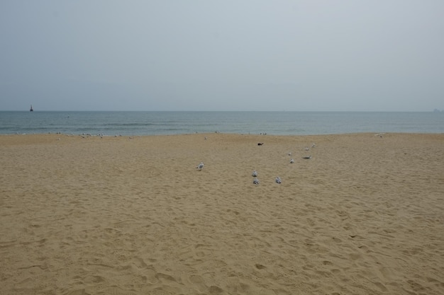 한국 부산의 유명한 해운대 해변