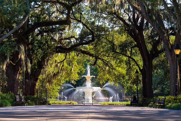 Photo famous historic forsyth fountain in savannah georgia usaxaxa