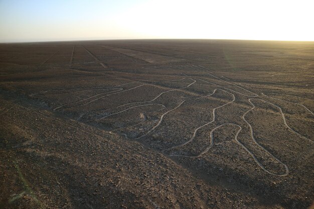Foto famose grandi antiche geoglifi linee di nazca viste dalla torre di osservazione deserto di nazca del perù