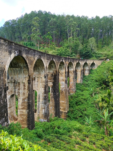 スリランカのジャングルの鉄道の有名な9アーチ橋