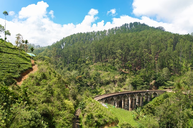 スリランカのジャングルの鉄道の有名な9アーチ橋