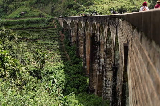 スリランカのジャングルの鉄道の有名な9アーチ橋