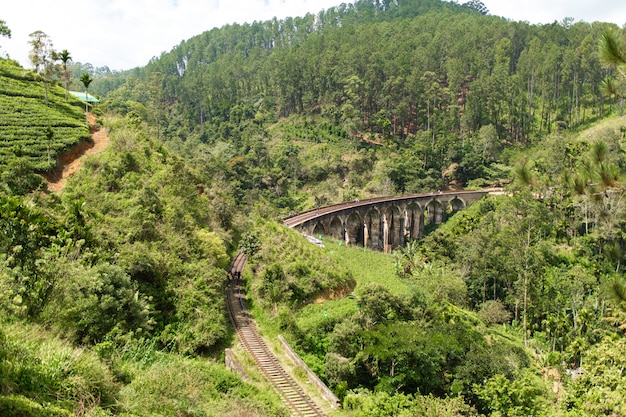 スリランカのジャングルの鉄道の有名な9アーチ橋