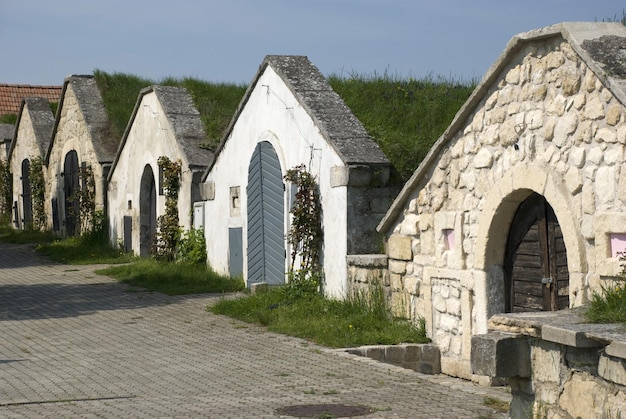 Photo famous old wine cellars in kellergasse of purbach burgenland, austria