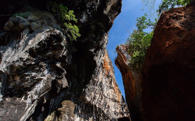 Photo famous phranang cave at raylay railay beach krabi thailand