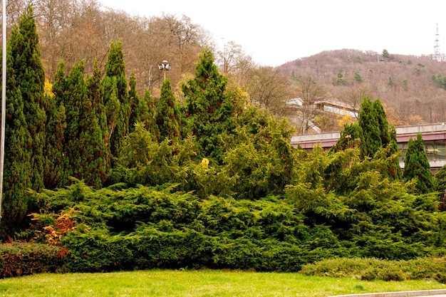 Famous spa resort Karlovy Vary aka Karlsbad