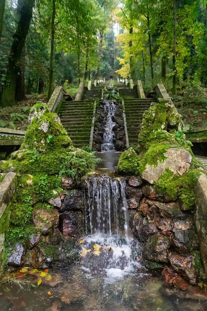 The famous staircase in the Bussaco forest in Portugal in autumn.