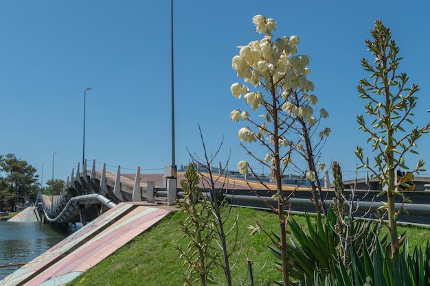 Famous wavy bridge in La Barra beach in Punta del Este