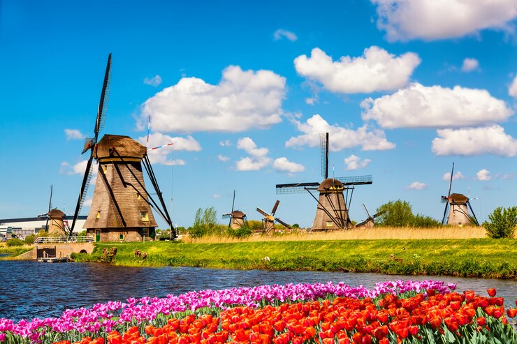 Photo famous windmills in kinderdijk village with a tulips flowers flowerbed in netherlands