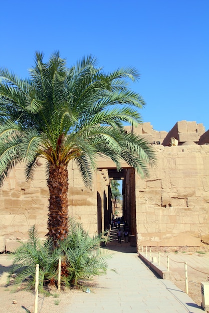 Famouse karnak temple in Luxor