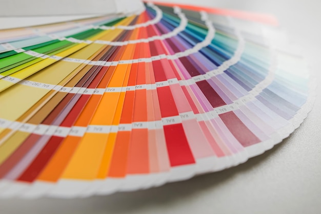 Fan of color samples Catalog of rainbow color samples for design Design concept