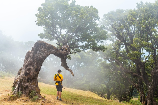 Fanal bos met mist in Madeira jonge vader met zijn baby in laurierbomen wandelend mysterieus Portugal