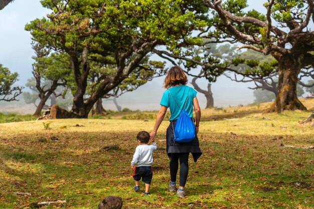 Fanal forest in Madeira mother with her son having fun among laurel trees in summer