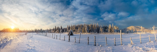 Photo fantastic blue sky and snow-covered trees