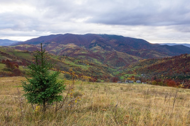 Fantastic colorful mountain landscape with cloud Ukraine Carpathian Mountains