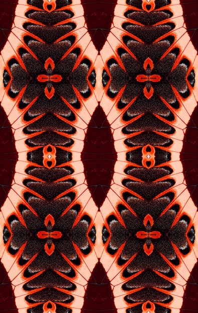 Fantastic exotic texture, butterfly wings pattern, unusual ornamental background, red black white