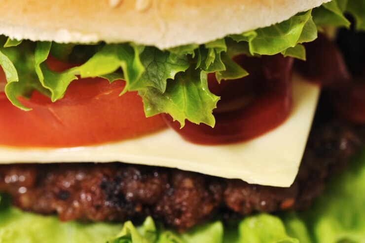 Fantastic hamburger