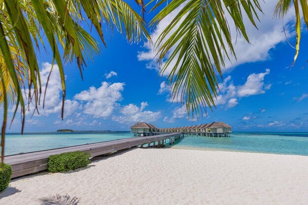 Fantastica spiaggia terrestre delle maldive, costa con palme, sabbia bianca e ville sull'acqua. estate di lusso