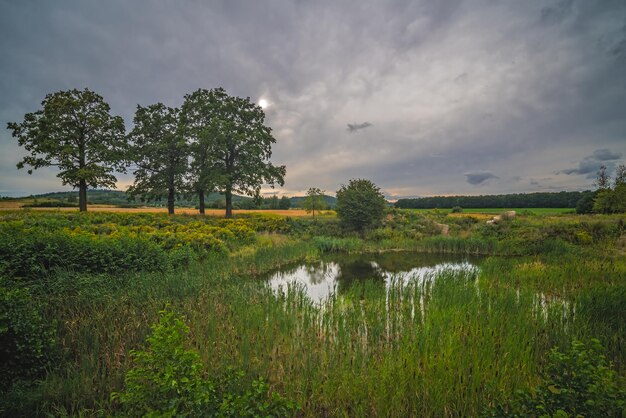 Fantastic shot of a tiny lake with fresh green field on cloudy sky background