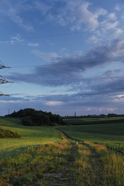 Fantastico tramonto sul campo di grano