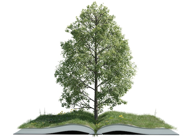 Fantastic tree on open book with green grass field isolated on w