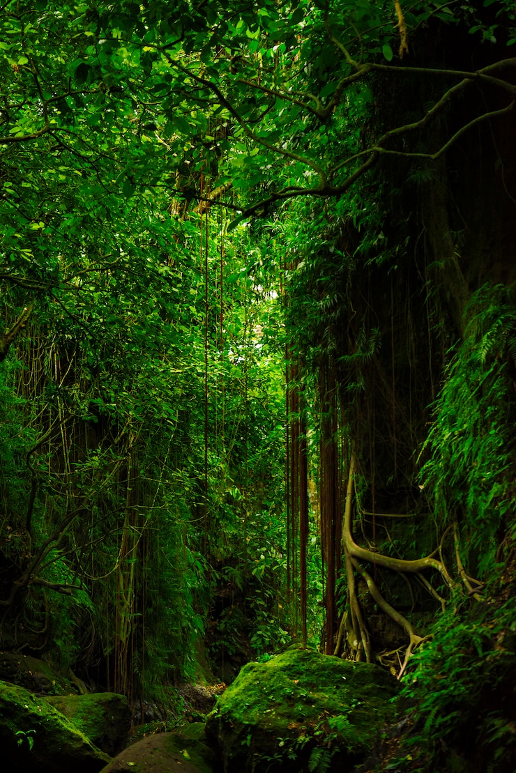 Photo fantastic tropical forest with amazing tropical plants