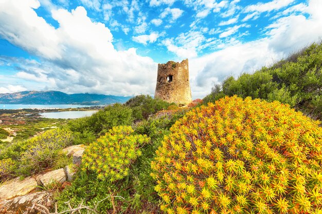 Foto fantastica vista sulla laguna di porto giunco con acque turchesi e torre antica