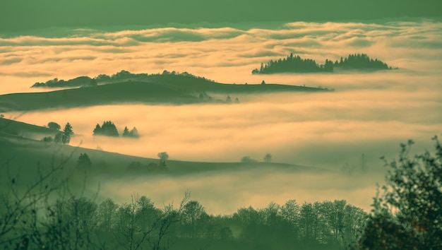 Fantastic view of the tops of the mountain ridge above the clouds