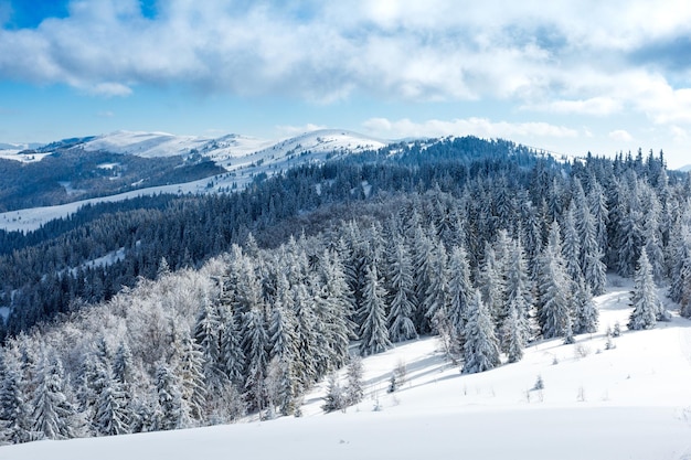 Fantastic winter landscape Blue sky Carpathian Ukraine Europe Beauty world